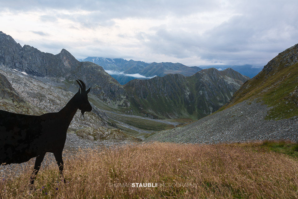 Blick von der Camona da Medel