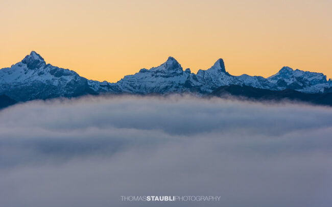 Blick vom Wildspitz Richtung Zentralschweizer Alpen