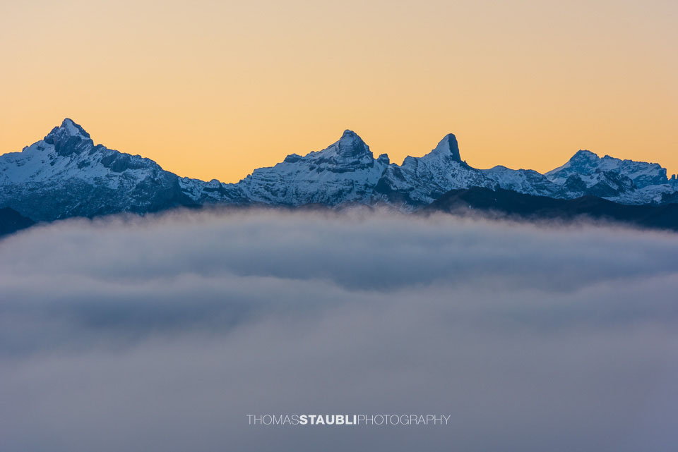 Blick vom Wildspitz Richtung Zentralschweizer Alpen