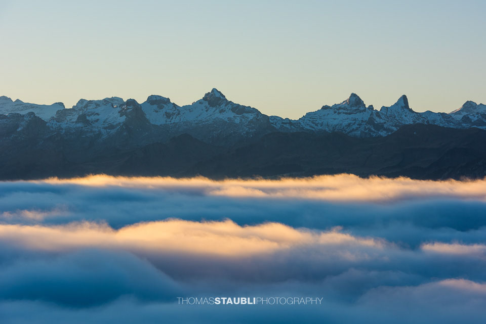 Blick vom Wildspitz Richtung Zentralschweizer Alpen