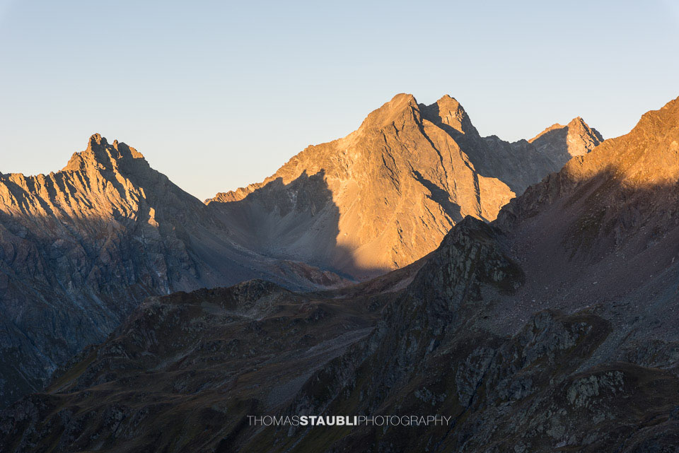 Ungürhörner und Plattenhörner im Abendlicht
