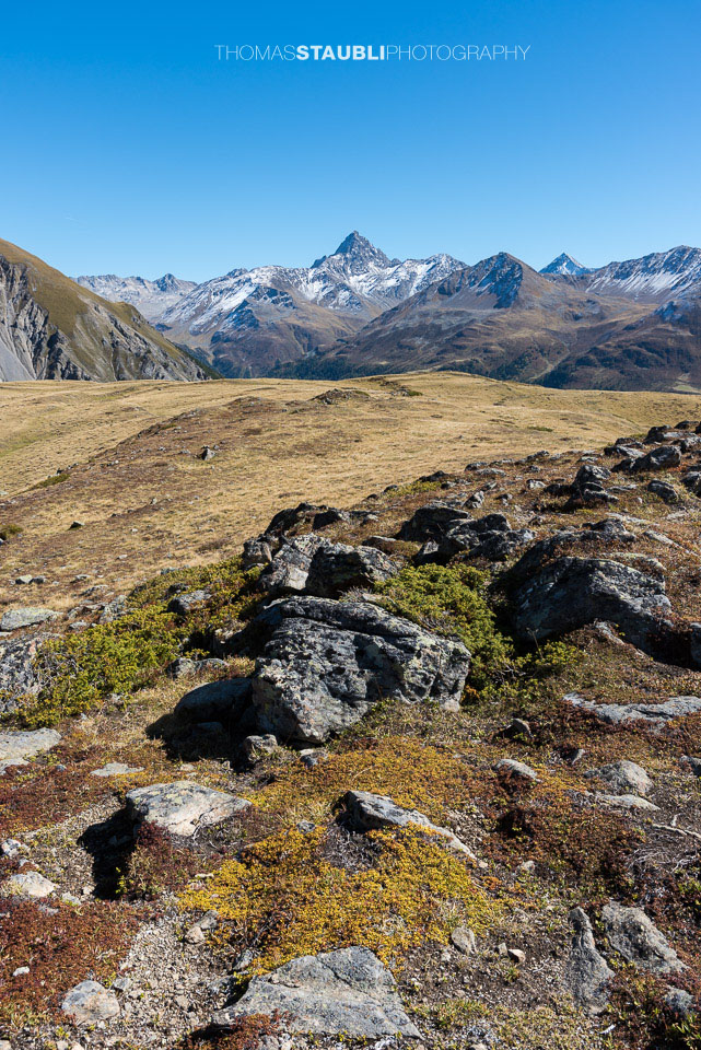 Bergpanorama auf dem Cuolm da Latsch