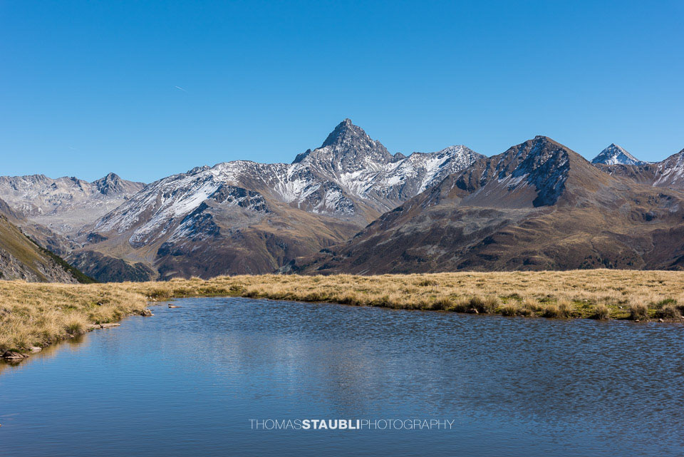 Blick vom Cuolm da Latsch Richtung Piz Kesch