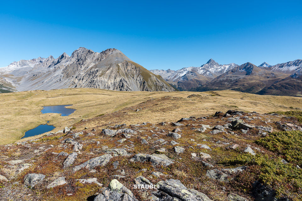 Bergpanorama auf dem Cuolm da Latsch