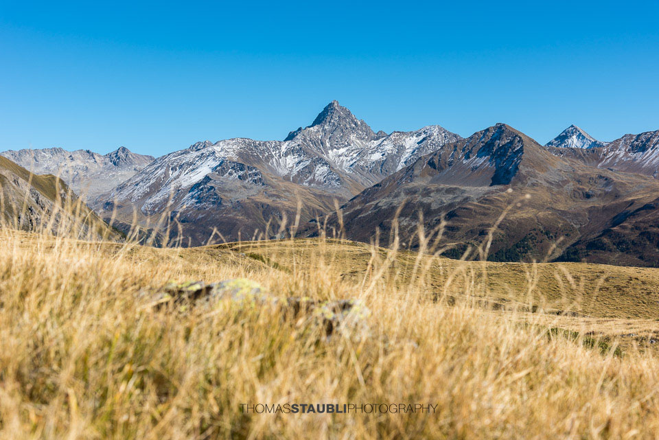 Blick vom Cuolm da Latsch Richtung Piz Kesch