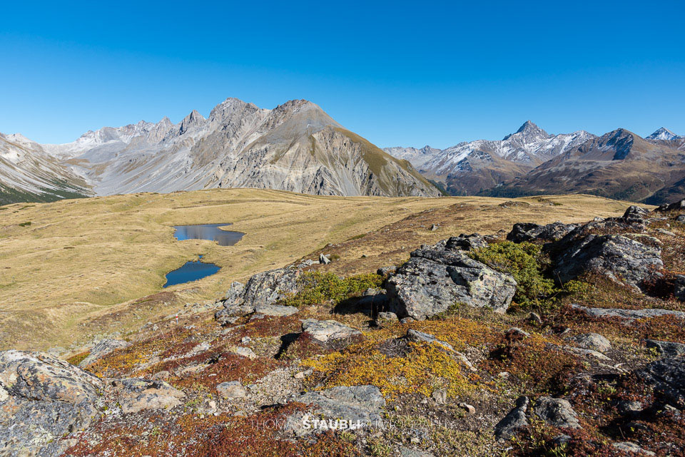 Bergpanorama auf dem Cuolm da Latsch