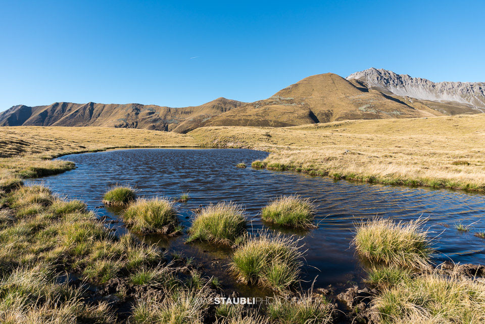 Bergpanorama auf dem Cuolm da Latsch