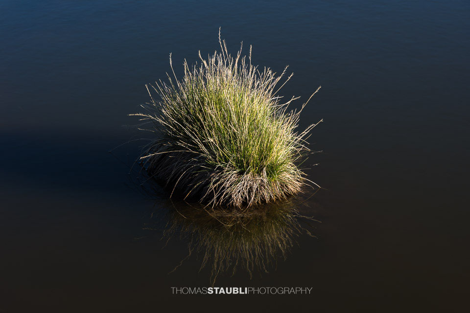 Impressionen auf dem Cuolm da Latsch