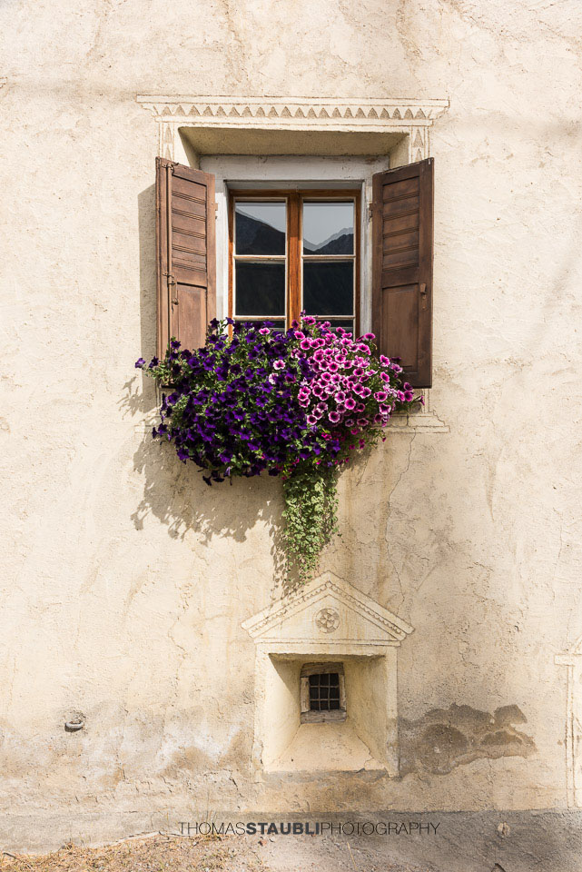 Blumenfenster in Stugl/Stuls