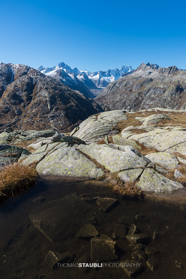 Blick zum Finsteraarhorn, Schreckhorn u. a.