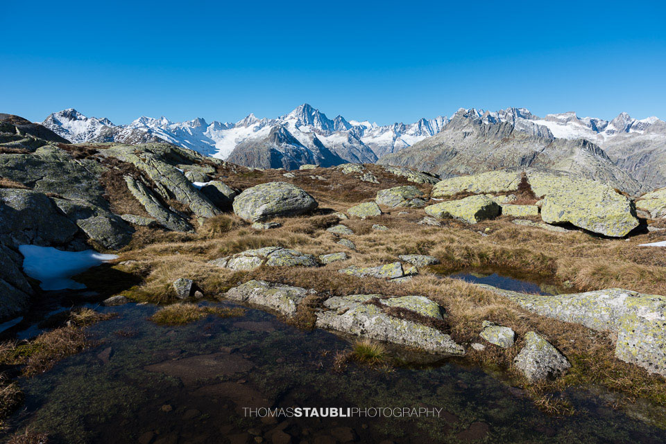 Blick vom Nägelisgrätli Richtung Finsteraarhorn
