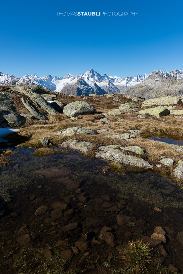 Blick vom Nägelisgrätli Richtung Finsteraarhorn