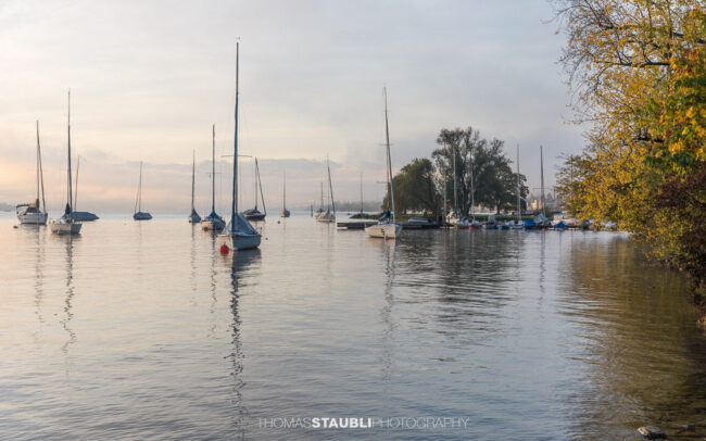 Segelboote auf dem Zürichsee