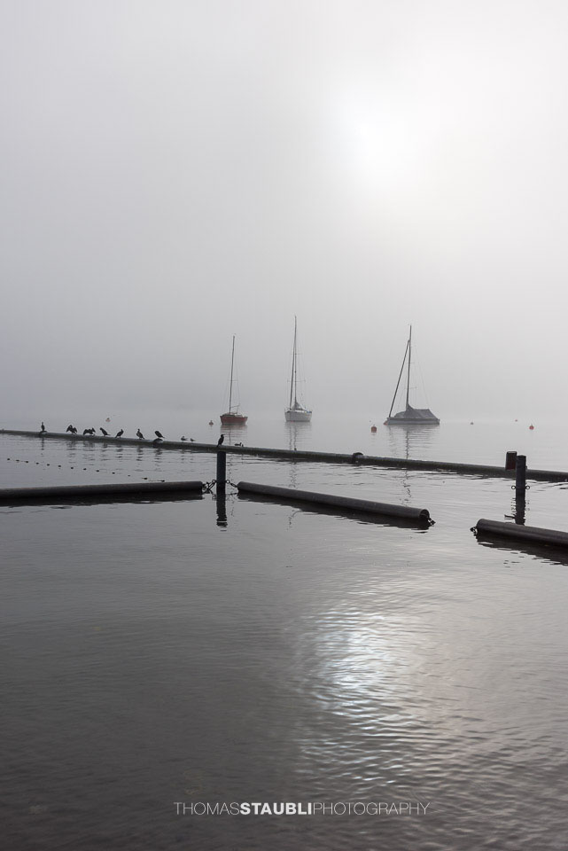 Segelboote im Nebel auf dem Zürichsee