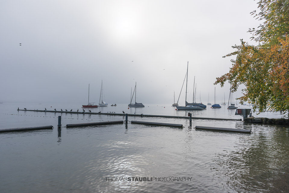 Segelboote im Nebel auf dem Zürichsee
