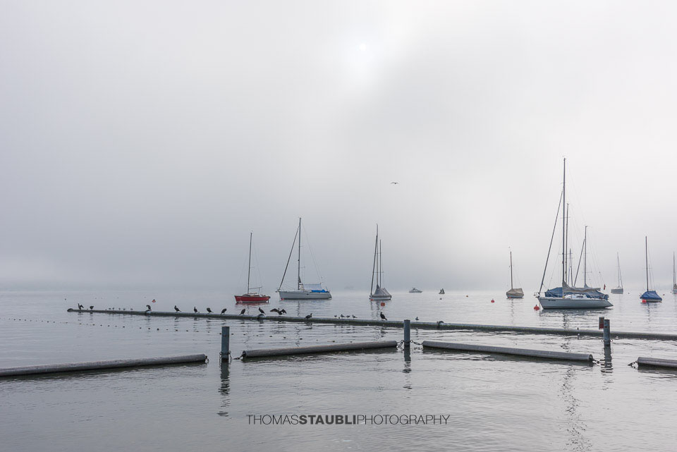 Segelboote im Nebel auf dem Zürichsee