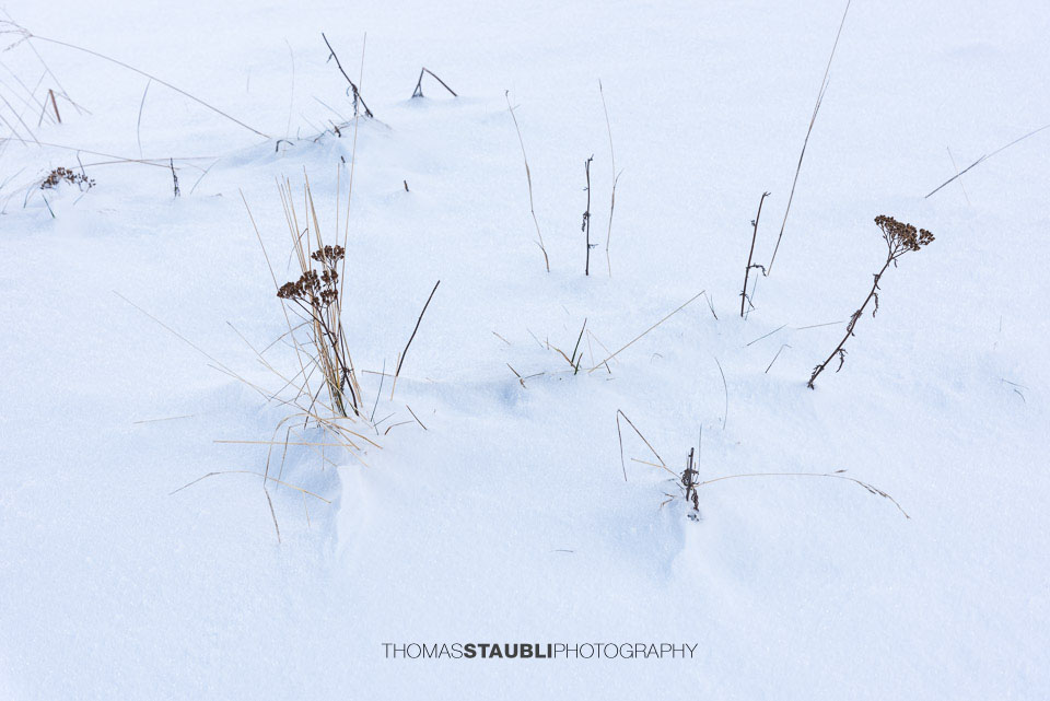 Winterimpressionen am Trübsee