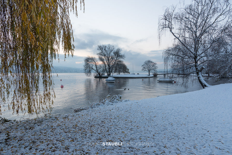 Winterimpressionen am Zürichsee bei der Landiwiese