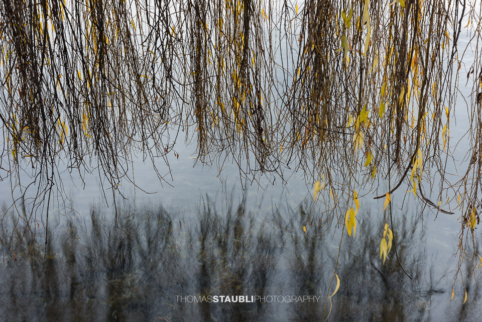 Winterimpressionen am Zürichsee bei der Landiwiese