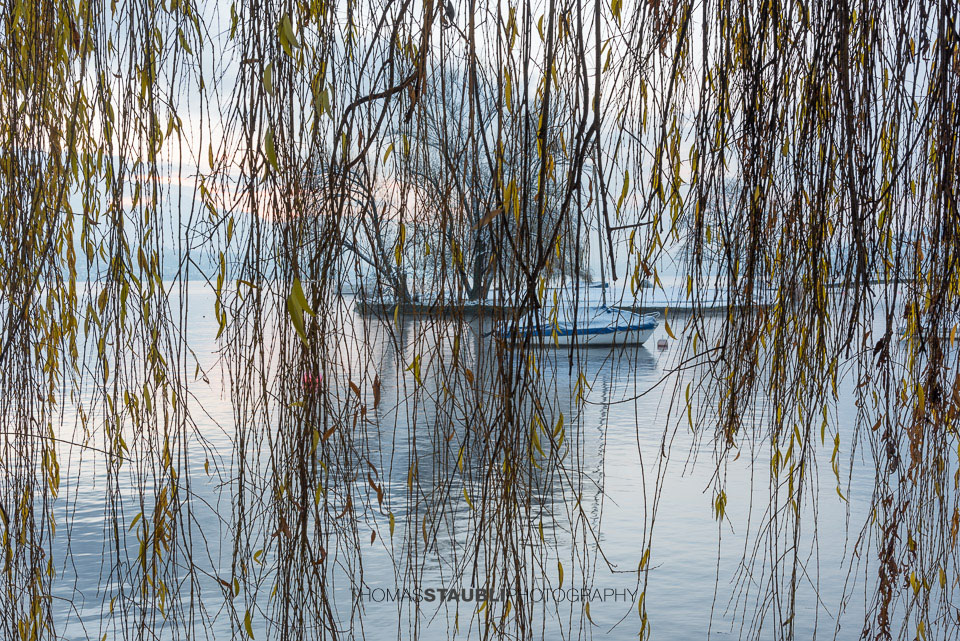 Winterimpressionen am Zürichsee bei der Landiwiese