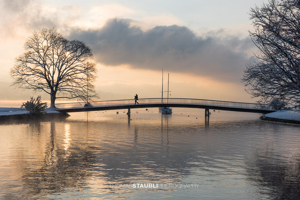 Winterimpressionen am Zürichsee bei der Landiwiese