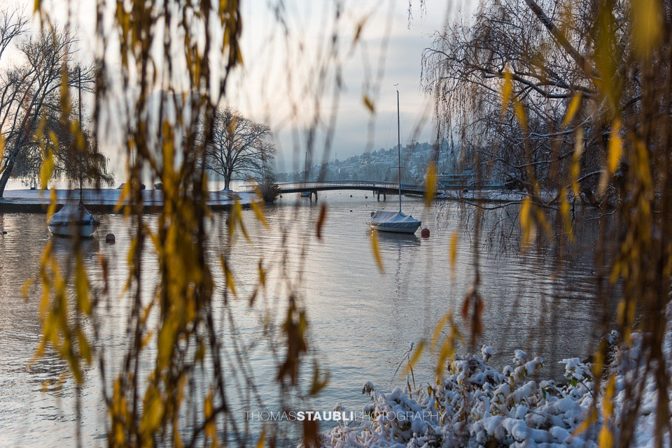 Winterimpressionen am Zürichsee bei der Landiwiese