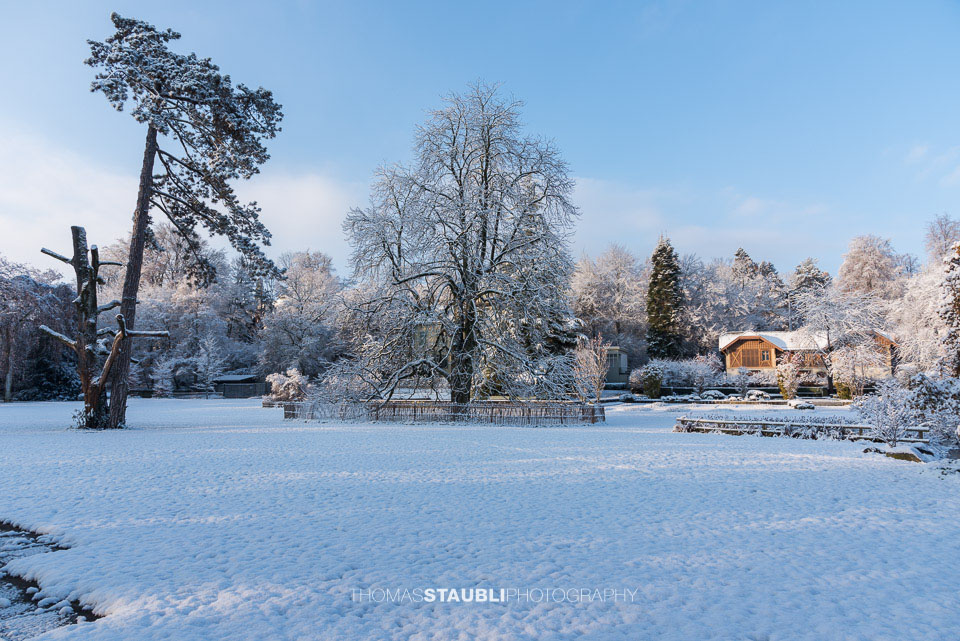 verschneite Landschaft im Belvoirpark