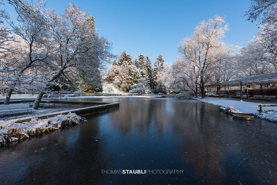 verschneite Landschaft im Belvoirpark