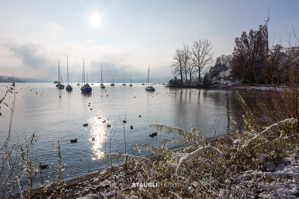Boote am General-Guisan-Quai in Zürich