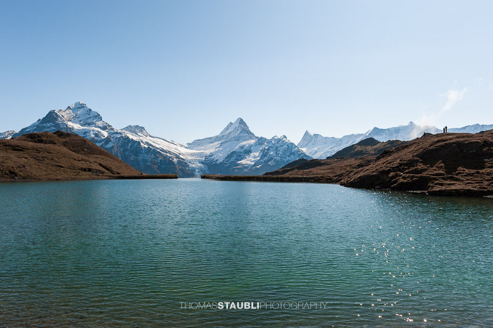 verschneites Wetterhorn und Schreckhorn mit Bachalpsee im Vordergrund