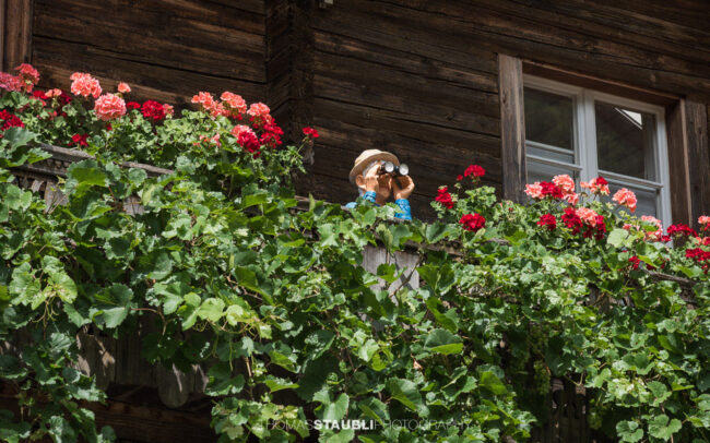 Puppe als Mann mit Feldstecher auf seinem mit Geranien geschücktem Balkon
