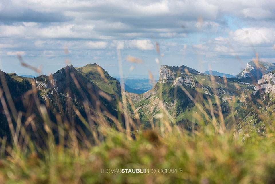 Blick vom Niederhorn Richtung Burst und Schibe