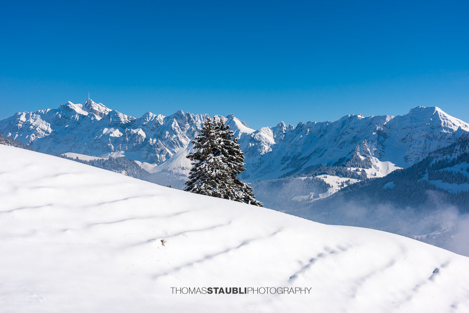 Blick von Gössigen Richtung Säntismassiv