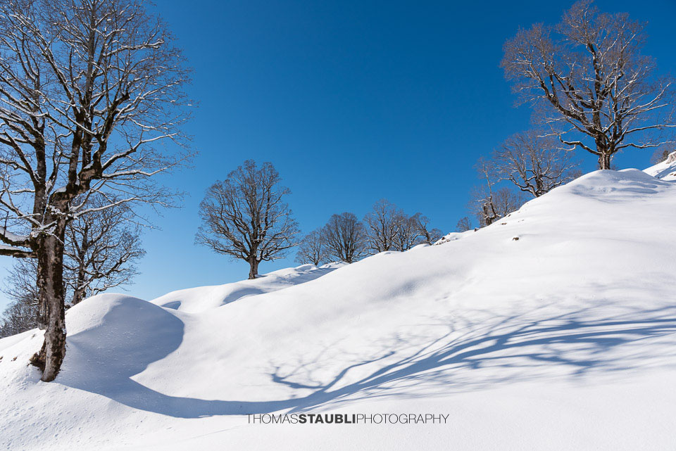 verschneite Landschaft bei Ober Gössigen