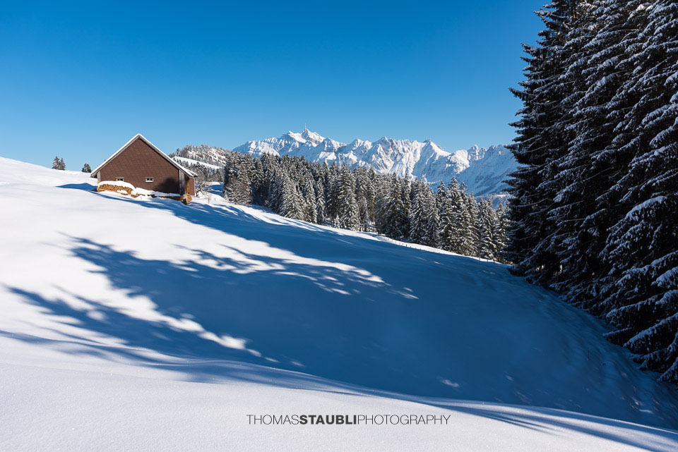 Blick von Vorder Chlosteralp Richtung Sätnismassiv