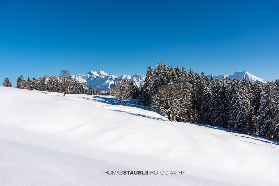verschneite Vorder Chlosteralp mit Blick zum Säntis