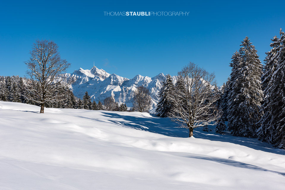 verschneite Vorder Chlosteralp mit Blick zum Säntis