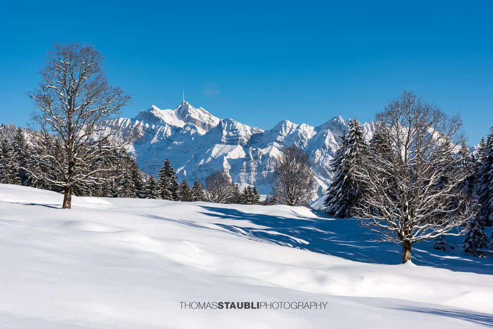 verschneite Vorder Chlosteralp mit Blick zum Säntis