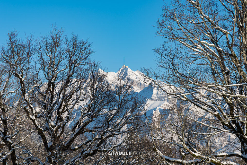 Blick zum verschneiten Säntis