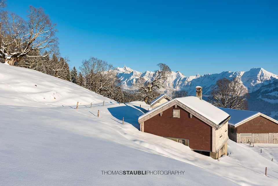 Blick von Ober Gössigen Richtung Säntismassiv