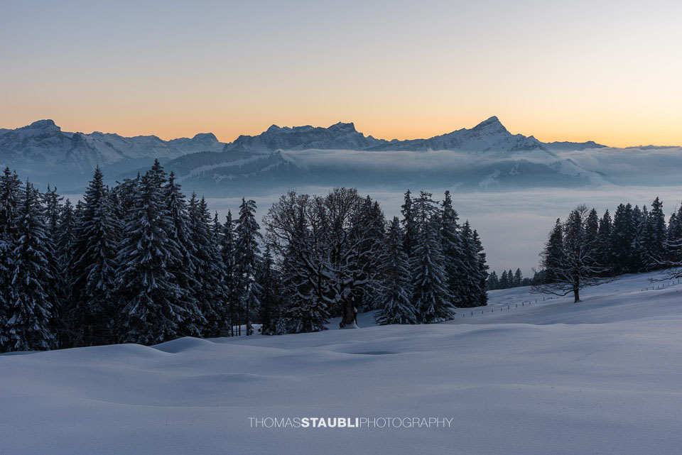 Blick von der Vorder Chlosteralp Richtung Mattstock, Speer u. a.