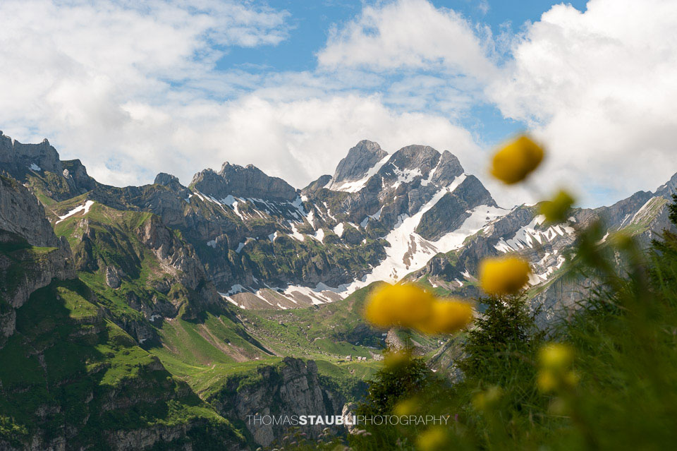 Alpstein – Blick zum Altmann