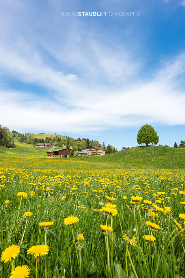 Bauernhof im Appenzellerland