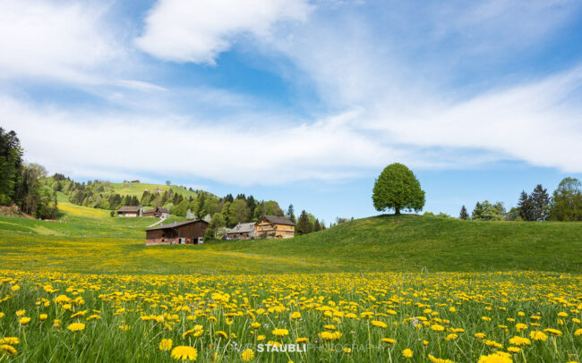 Bauernhof im Appenzellerland