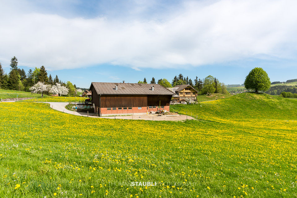 Bauernhof im Appenzellerland