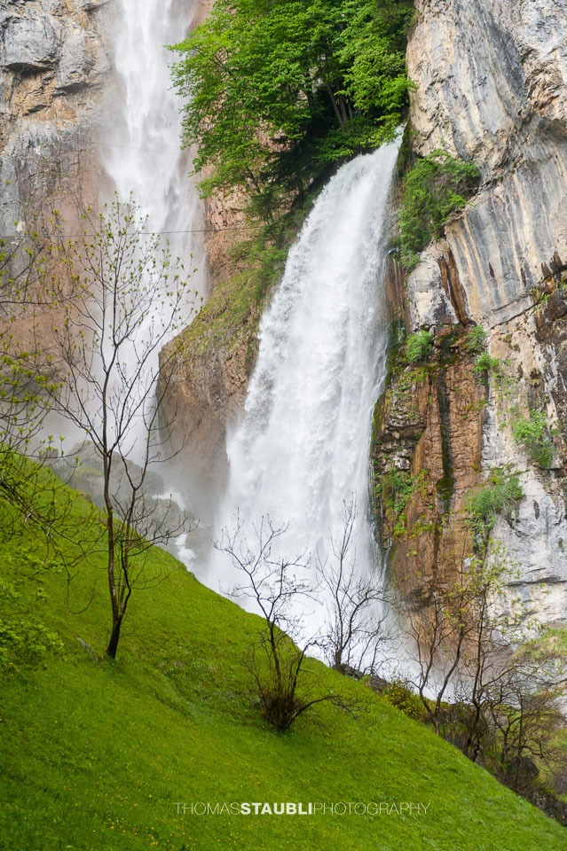 Wasserfall – Seerenbachfälle und Ringquelle