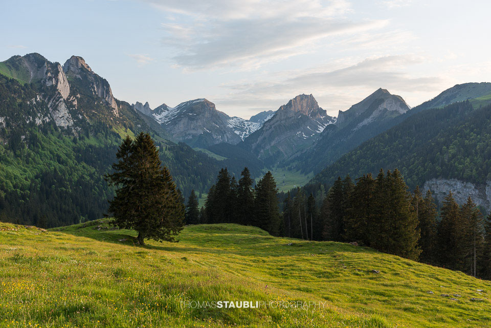 Abendstimmung im Frühling auf der Alp Soll im Alpstein