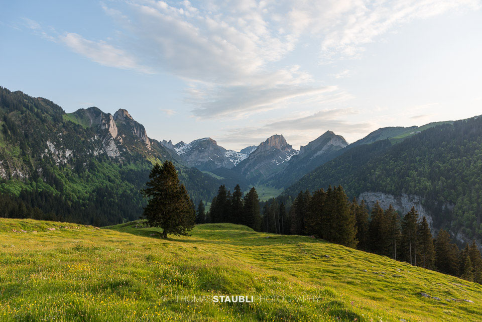 Abendstimmung im Frühling auf der Alp Soll im Alpstein