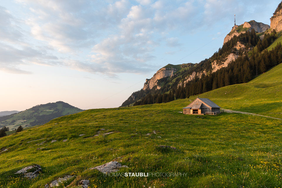 Blick von der Alp Soll im AlpsteinRichtung Fähnerenspitz und Hoher Kasten