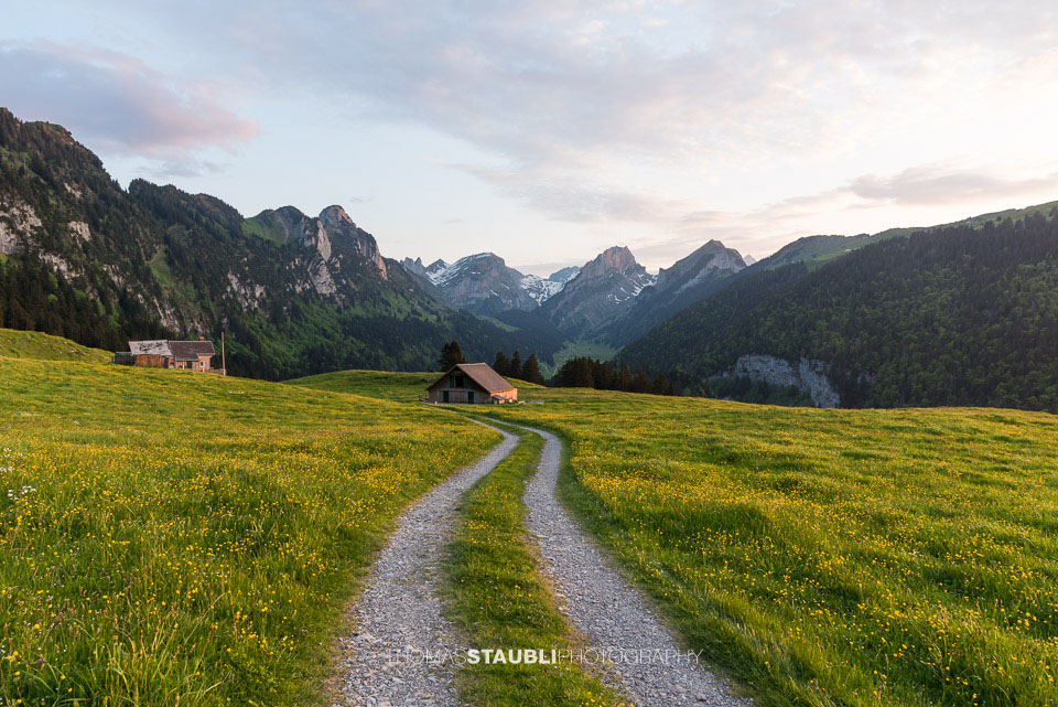 Abendstimmung im Frühling auf der Alp Soll im Alpstein
